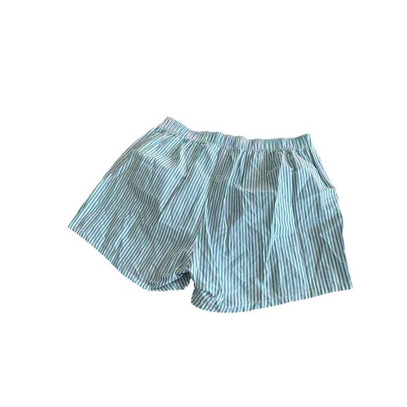 J.Crew Mens Green & Blue Striped Cotton Boxer Boxers Size L Underwear - Picture 3 of 4